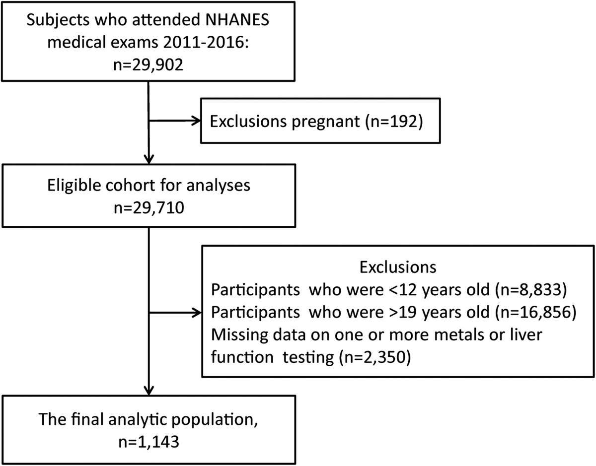 Association Between Serum Trace Heavy Metals and Liver Function Among Adolescents