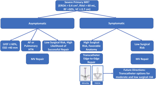Primary Mitral Regurgitation and Heart Failure