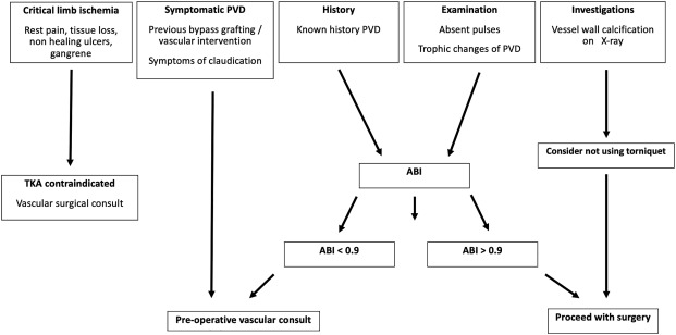 Managing the Patient with Peripheral Vascular Disease before Total Knee Arthroplasty Surgery