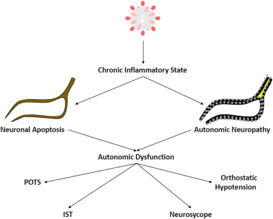 Autonomic Dysfunction related to Post-Acute SARS-CoV-2 Syndrome