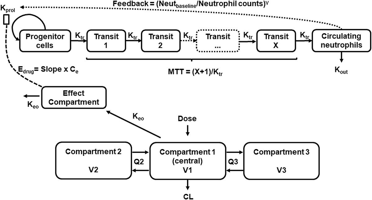 Pharmacodynamic Model-Based Safety Management of Eribulin-Induced Myelosuppression in Patients With Breast Cancer