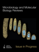 New Thoughts on an Old Topic: Secrets of Bacterial Spore Resistance Slowly Being Revealed