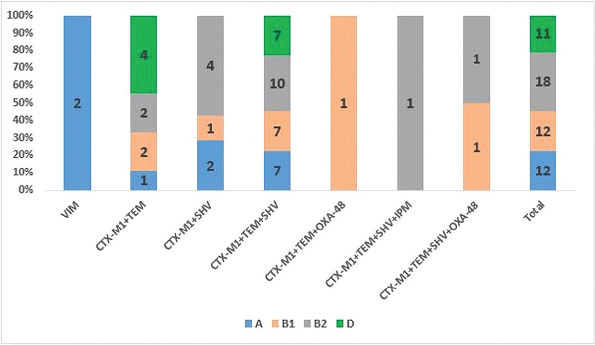 CTX-M gene and presence of insertion elements in patients with septicemia caused by Escherichia coli