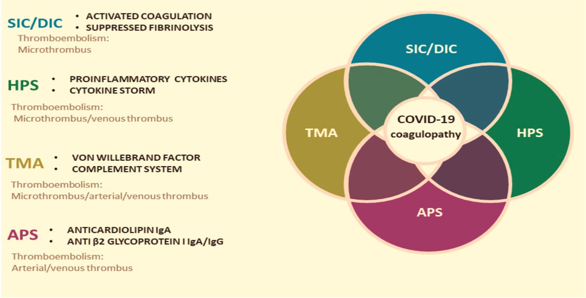 Thromboembolism: the secret lethal weapon of coronavirus disease 2019