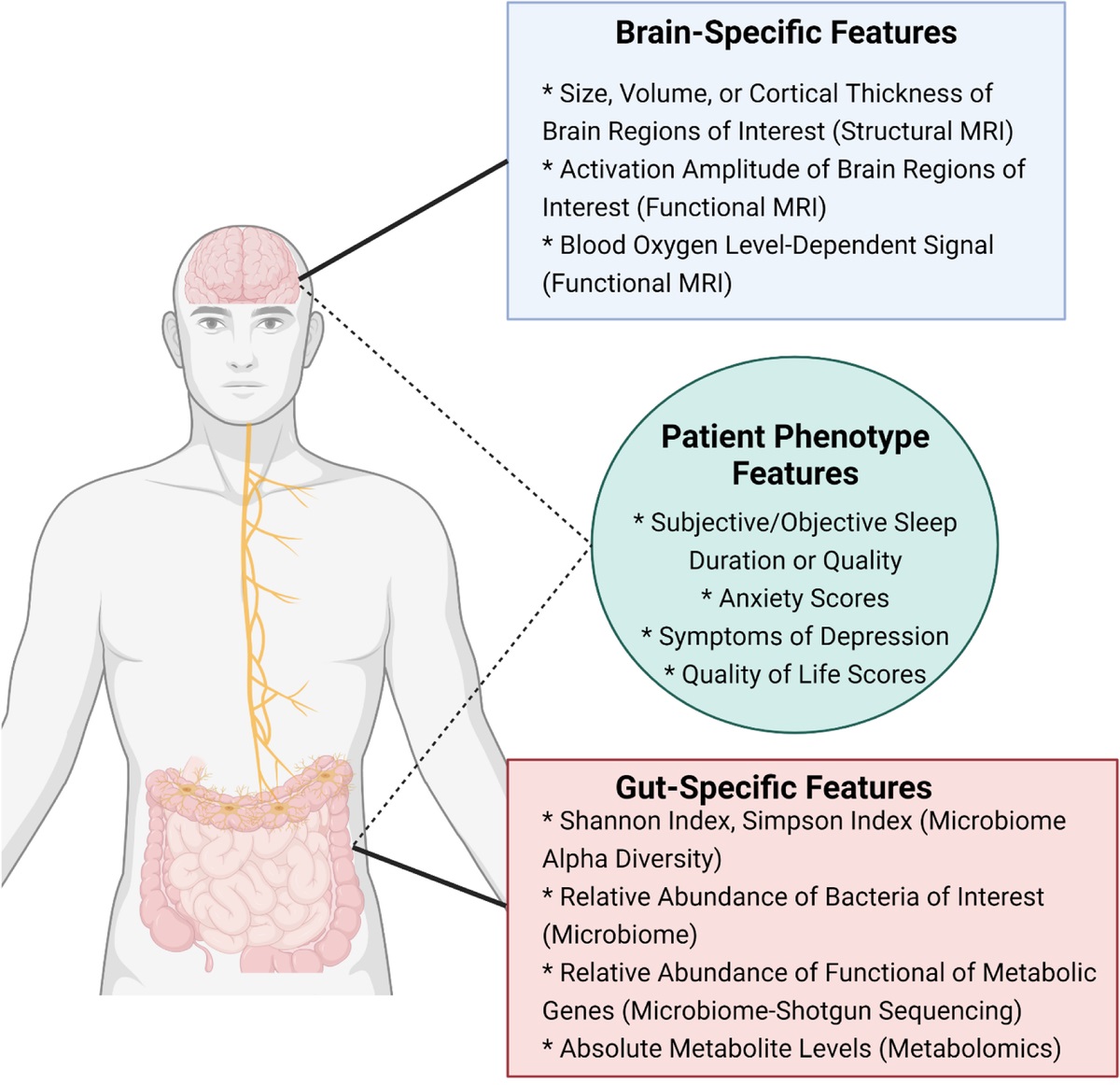 A Comparison of Hypothesis-Driven and Data-Driven Research: A Case Study in Multimodal Data Science in Gut-Brain Axis Research