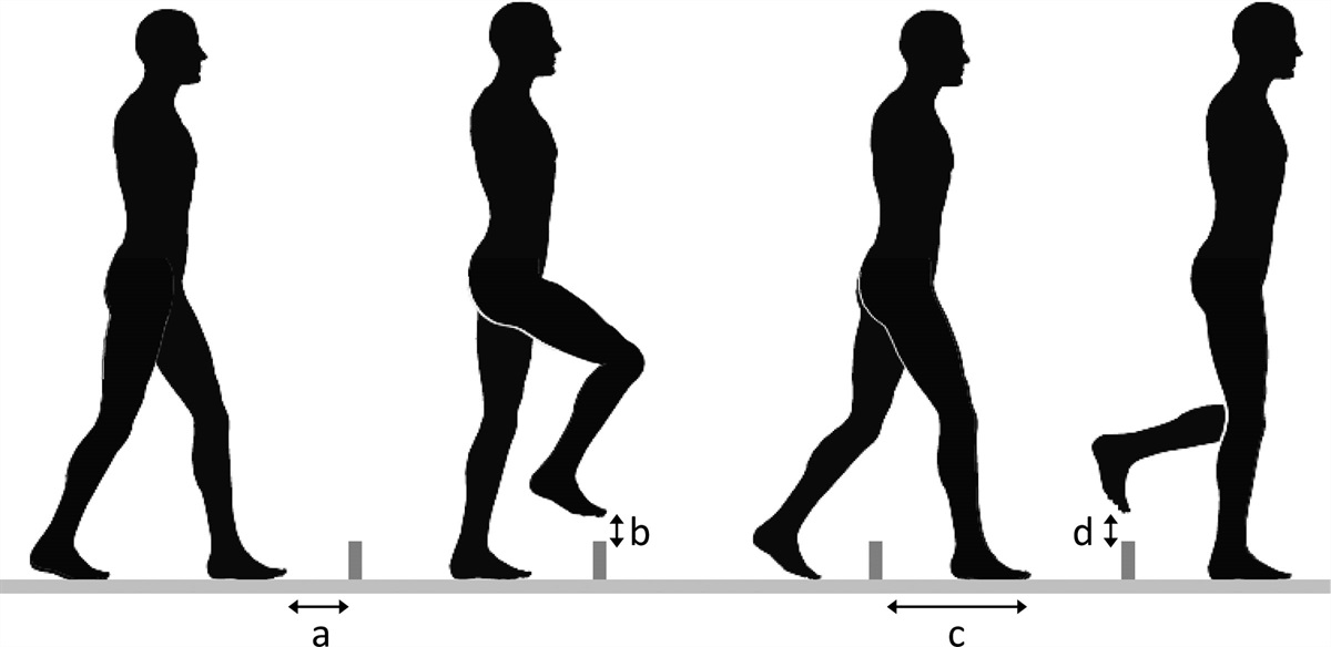 Transcranial direct current stimulation to dorsolateral prefrontal cortex improves performance of obstacle avoidance gait task
