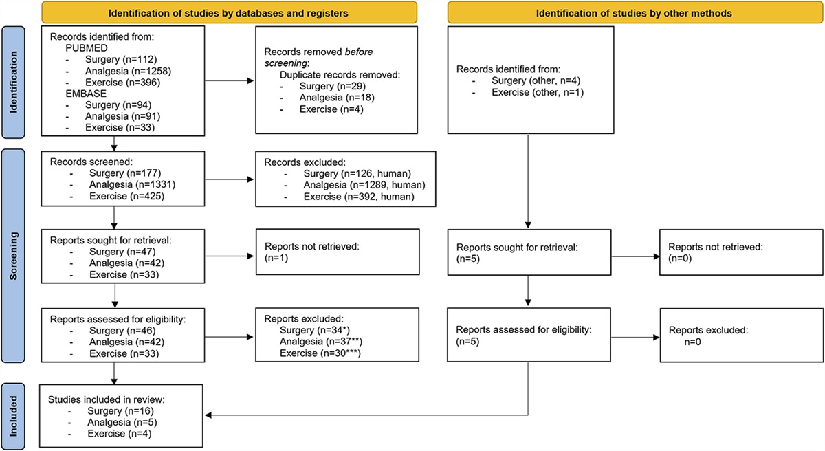 Quantitative sensory testing as an assessment tool to predict the response to standard pain treatment in knee osteoarthritis: a systematic review and meta-analysis