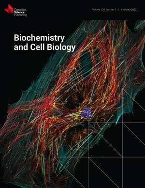 The effects of cetuximab and cisplatin anti-cancer drugs on the mechanical properties of the lung cancerous cells using atomic force microscope