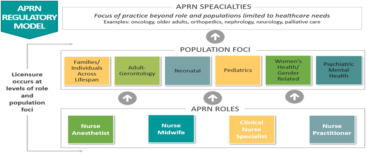 Nurse practitioner curriculum puzzle: Connecting all of the documents