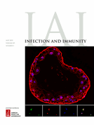 Protection against lethal sepsis following immunization with Candida species varies by isolate and inversely correlates with bone marrow tissue damage