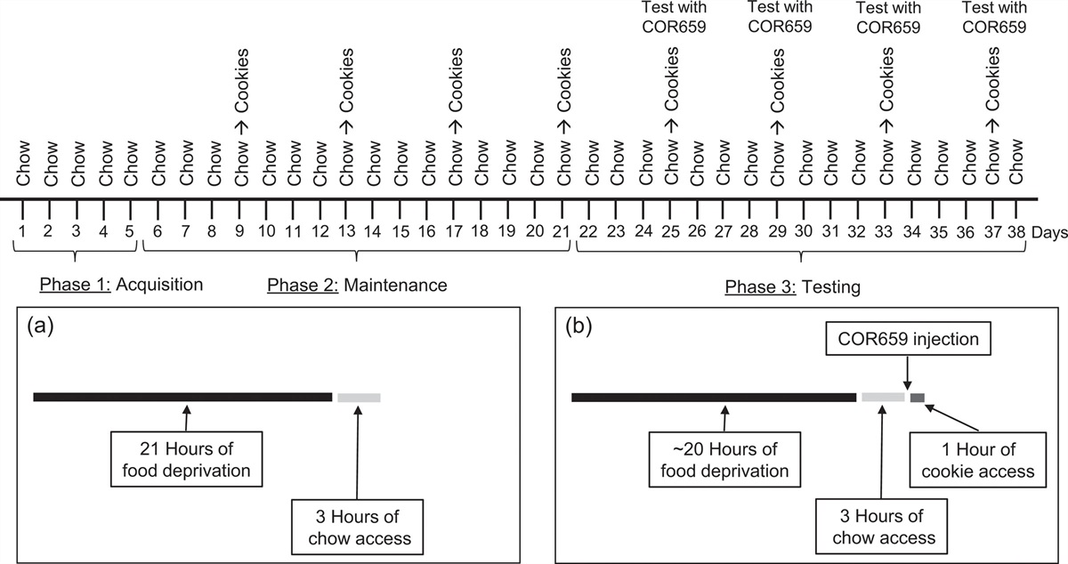 Anorectic effect of COR659 in a rat model of overeating