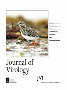 Correction for Tejera-Hernández et al., “Mouse Adenovirus Type 1 E4orf6 Induces PKR Degradation”