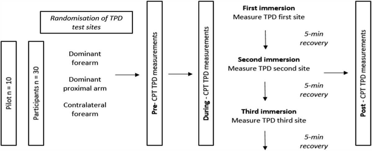 Tactile acuity improves during acute experimental pain of the limb