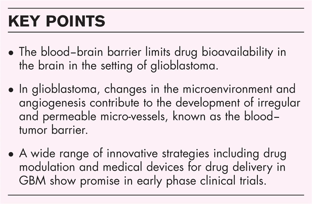 Unveiling the enigma of the blood–brain barrier in glioblastoma: current advances from preclinical and clinical studies