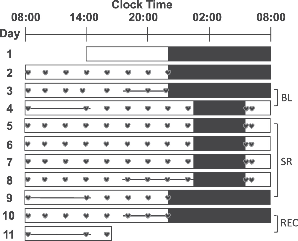 Recovery Sleep After Sleep Restriction Is Insufficient to Return Elevated Daytime Heart Rate and Systolic Blood Pressure to Baseline Levels