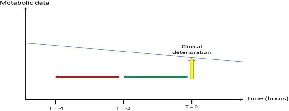 OXYGEN CONSUMPTION AS AN EARLY WARNING SYSTEM IN THE CRITICALLY ILL