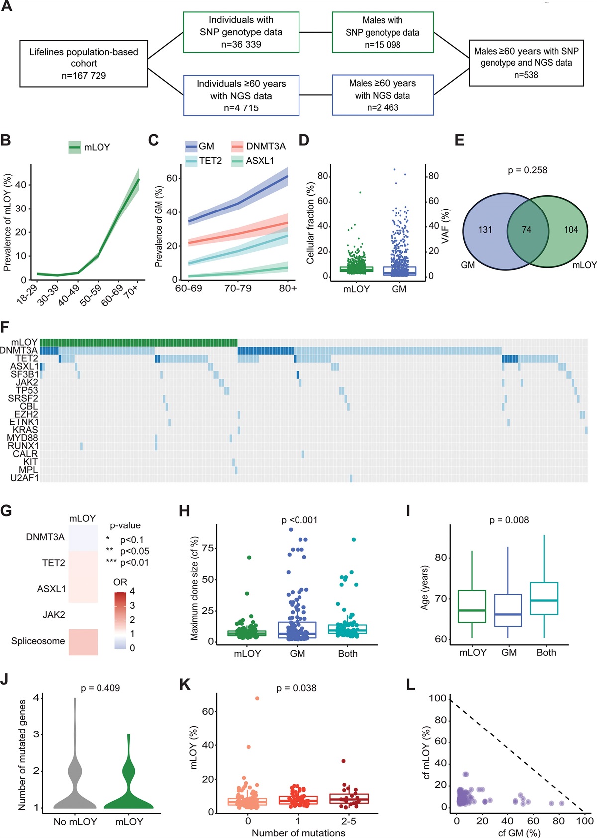 Clonal Hematopoiesis Defined by Somatic Mutations Infrequently Co-occurs With Mosaic Loss of the Y Chromosome in a Population-based Cohort