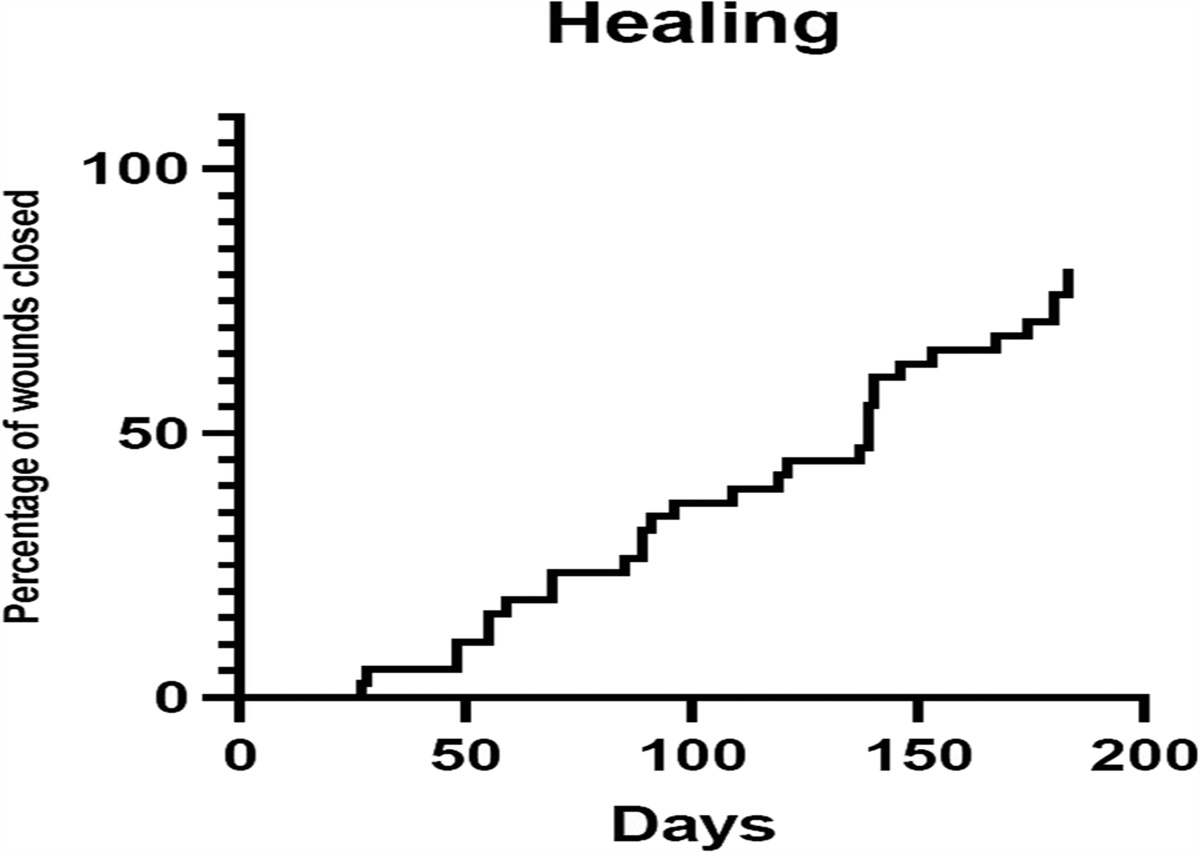 Retrospective Data Analysis of the Use of an Autologous Multilayered Leukocyte, Platelet, and Fibrin Patch for Diabetic Foot Ulcers Treatment in Daily Clinical Practice