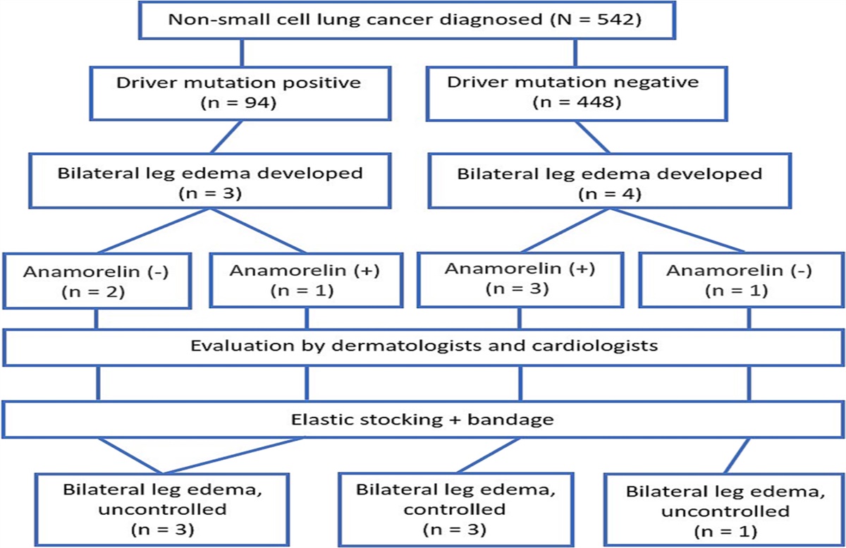 Using Compression Therapy to Treat Bilateral Lower Limb Edema in Patients with Lung Cancer: A Case Series