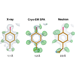 Neutron crystallographic refinement with REFMAC5 from the CCP4 suite