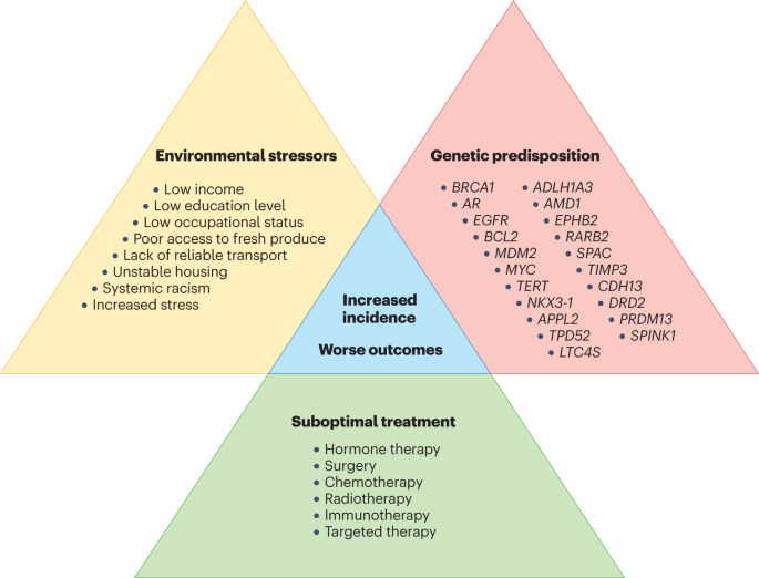 Genetic and biological drivers of prostate cancer disparities in Black men