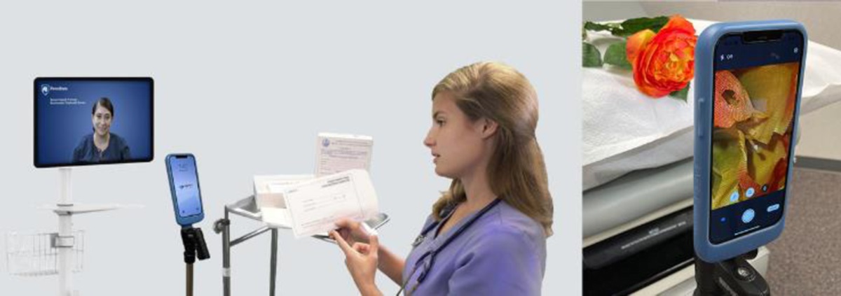 Leveraging Telehealth to Address Sexual Assault Nurse Examiner Access Disparities in Rural Communities
