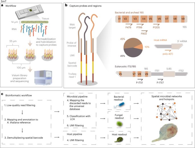 Spatial metatranscriptomics resolves host–bacteria–fungi interactomes
