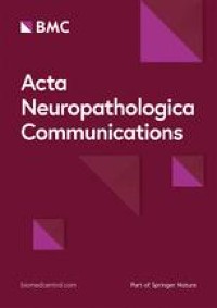 Neuronal SNCA transcription during Lewy body formation