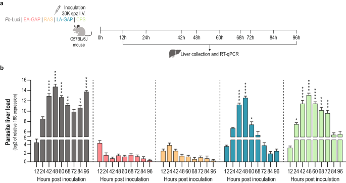 The effect of dosage on the protective efficacy of whole-sporozoite formulations for immunization against malaria