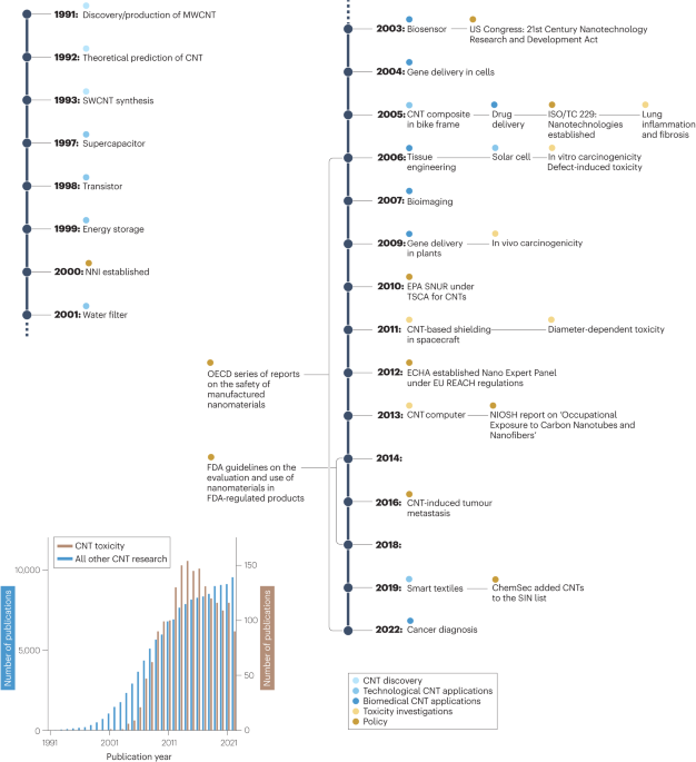 Human and environmental safety of carbon nanotubes across their life cycle