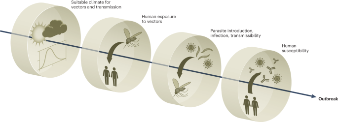 Tackling climate change and deforestation to protect against vector-borne diseases