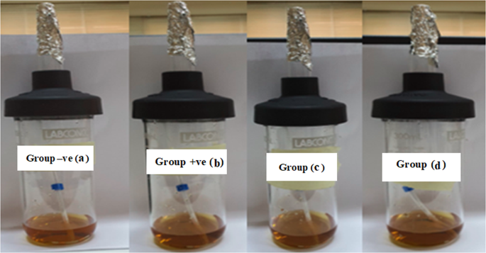 Anti-microbial efficacy of l-glutaminase (EC 3.5.1.2) against multidrug-resistant Pseudomonas aeruginosa infection