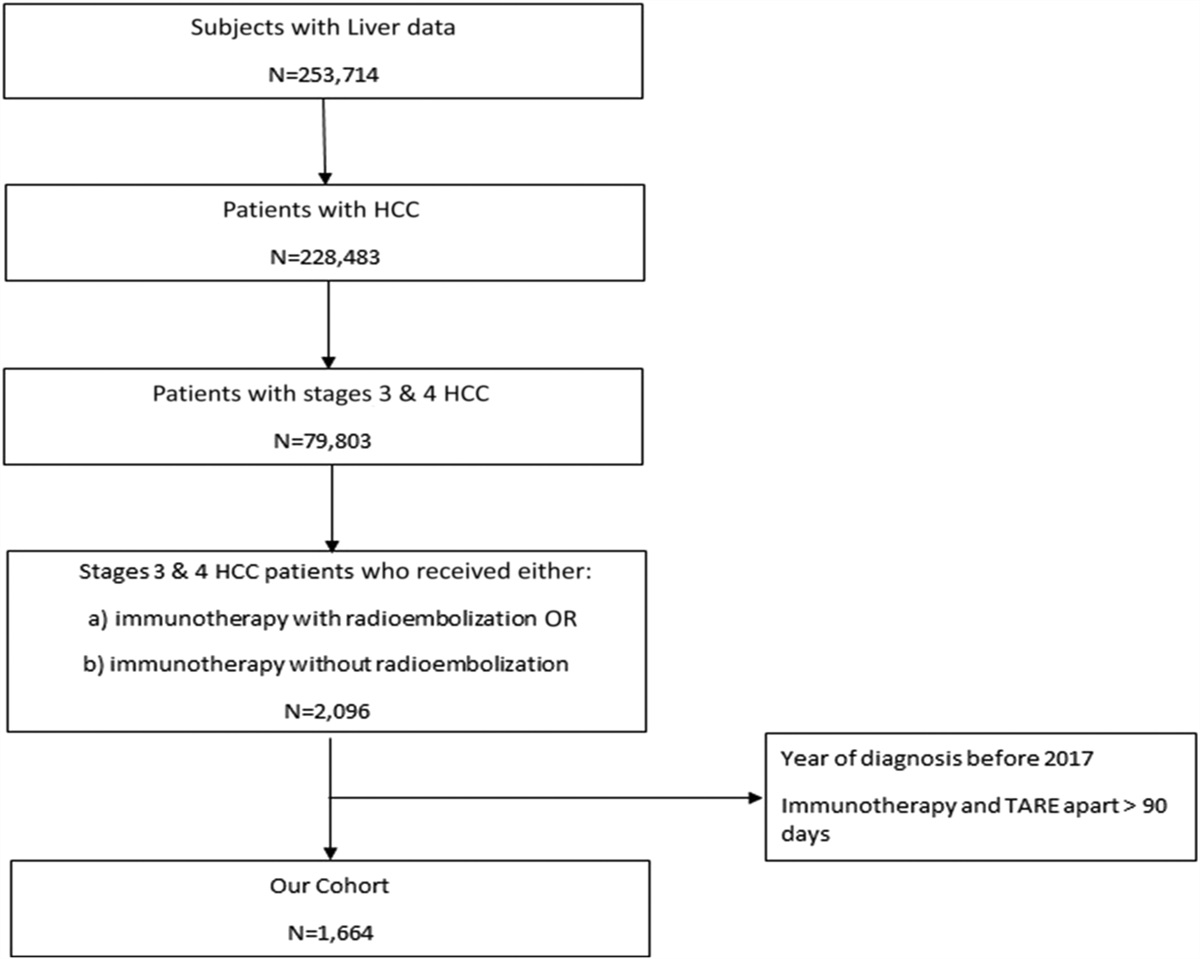 Immunotherapy and Transarterial Radioembolization Combination Treatment for Advanced Hepatocellular Carcinoma