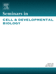Composition and function of stress granules and P-bodies in plants