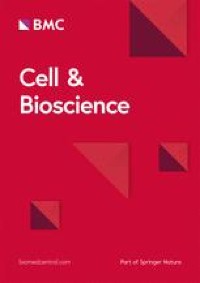 A rapid and stable spontaneous reprogramming system of Spermatogonial stem cells to Pluripotent State